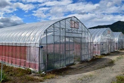 Drivhus av polyetylenfilm